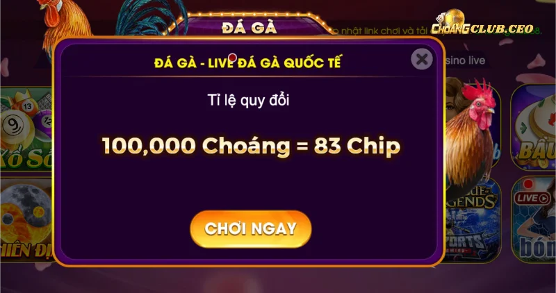 Các cửa đặt trong đá gà Choangclub  